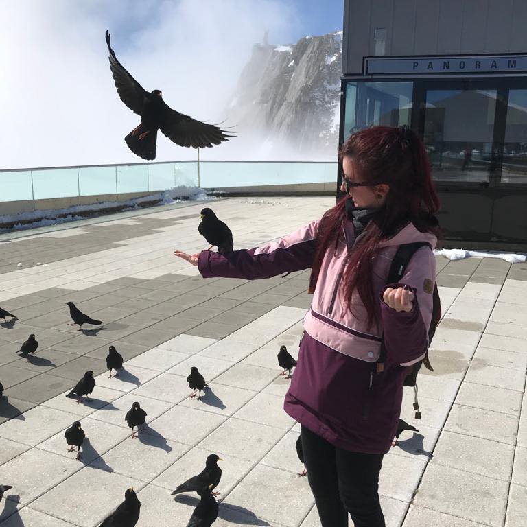 cat sitting joana henrique